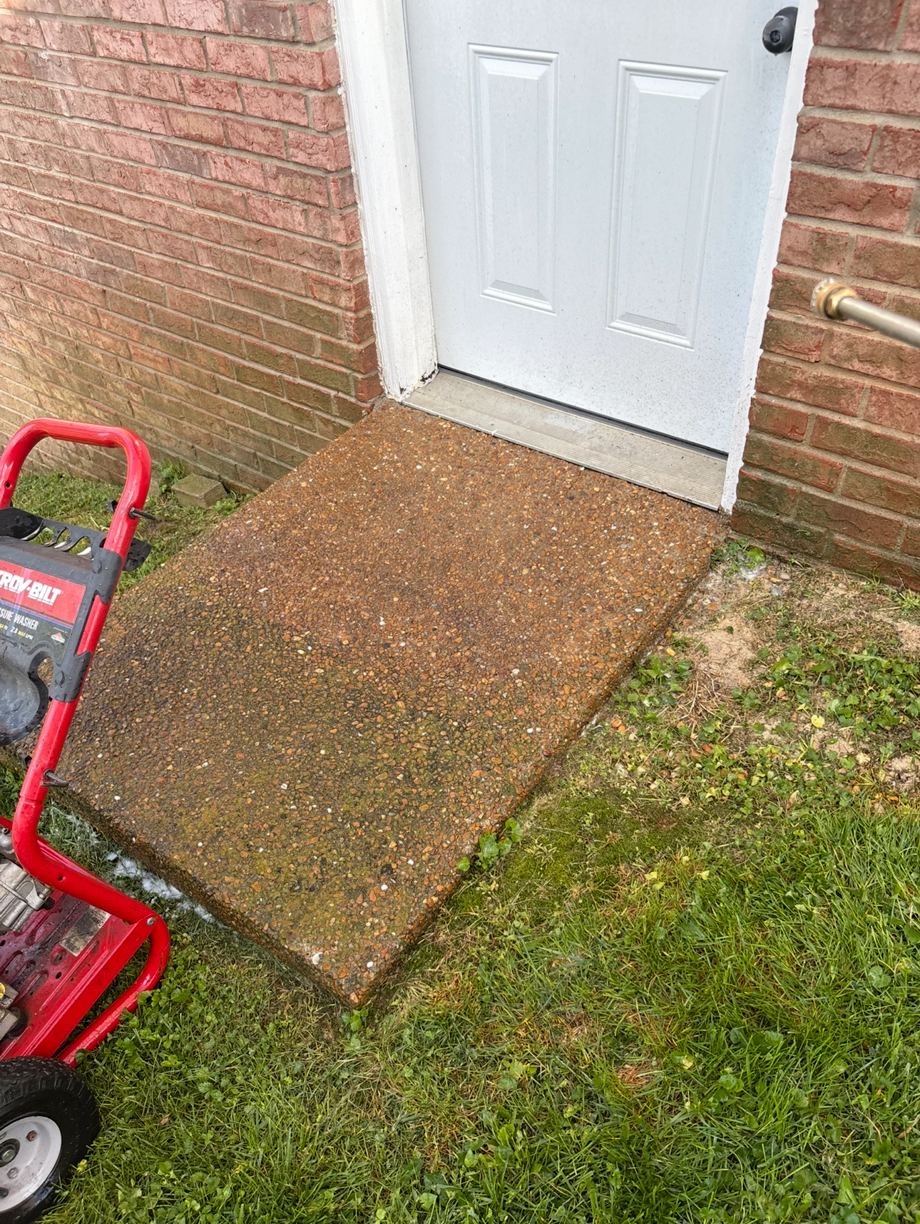 Algae & Mold Removal - before